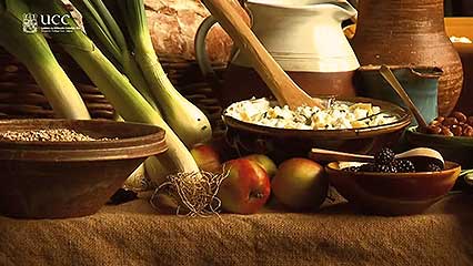 http://carolcmcgrath.co.uk/medieval-cooking-is-the-stomach-a-cauldron/