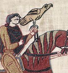 King Harold on The Bayeux Tapestry
